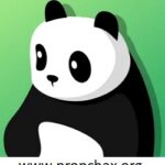 PandaVPN Pro 7.1.6 MOD APK Download Now [2025]