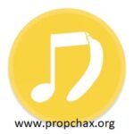 SongKong 11.2.2 Latest Version With Crack [2025]
